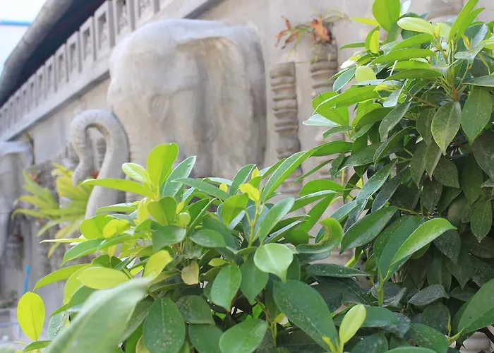 Fancy Boutique Villa Hotel Siem Reap